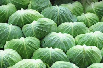 Fototapeta na wymiar close up on cabbage in pile