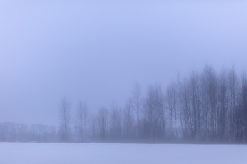 Mystical misty landscape. Cold autumn weather in blue tones.