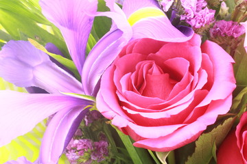 bouquet of pink roses