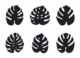 Icons with tropical palm leaves, monstera. Beautiful hand drawn exotic plants. Floral background. Monsters isolated on white background. Monstera leaves, jungle. Silhouette of monstera leaves