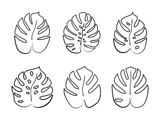Monstera leaves are drawn with a single line. Modern one-line art. Outline drawing of the monster. Exotic leaves, jungle, monstera, hibiscus, palm leaves. Drawing of monstera leaves by hand © Aleksandra
