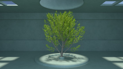 3d render. Empty green room with top sunlight and tree in center.