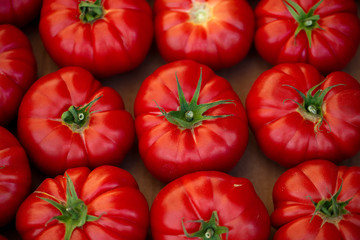 fresh and organic tomatoes. red vegetable concept
