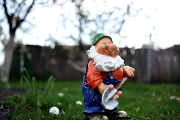 A little nice gnome in spring garden