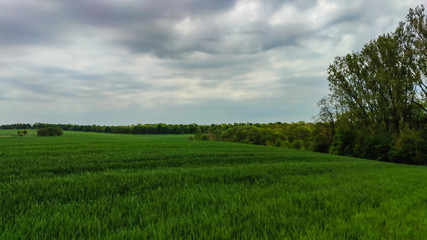 Obraz na płótnie Canvas Agriculture field landscape in the spring season