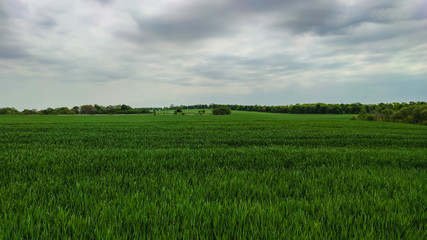 Agriculture field landscape in the spring season