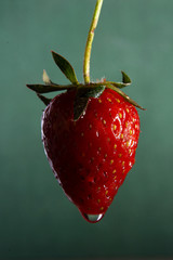 fresh red strawberries on a green background closeup