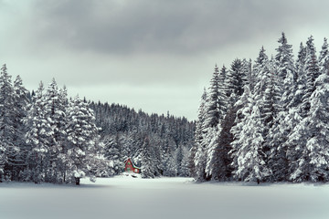 Fototapety na wymiar - Fototapeta24.pl