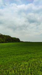 Fototapeta na wymiar Agriculture field landscape in the spring season