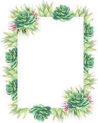 Watercolor succulent frame on white background. Beautiful template for invite or greeting card, banner, backdrop. 