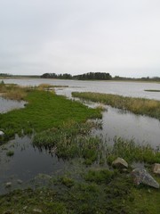 landscape with river