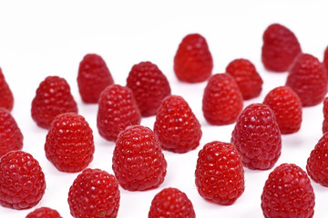 Fresh ripe raspberry fruits lined up in rows on white background