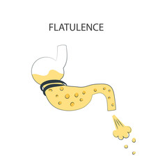 Medical banner for flatulence. Formation of gases in the stomach. Pancreatitis. Diseases of the stomach and colon. Vector illustration