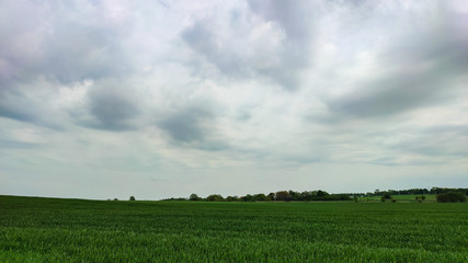 Agriculture field landscape in the spring season
