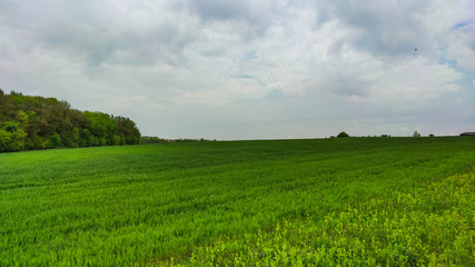 Agriculture field landscape in the spring season