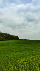 Obraz premium Agriculture field landscape in the spring season