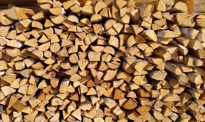 birch woodpile