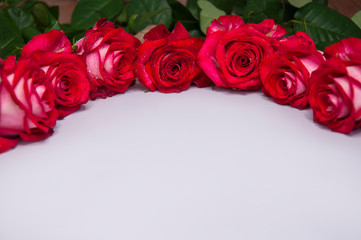 Beautiful red roses on a light background. Copy space for text