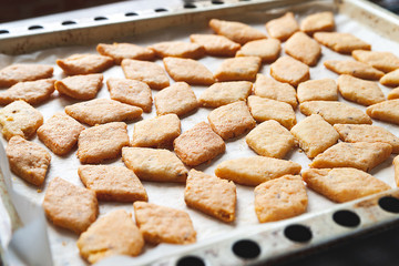 Freshly baked cookies. A lot of hot fresh cookies on a baking sheet. Selective soft focus.