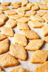 Freshly baked cheese cookies. Closeup of a lot of hot fresh pastry on a baking sheet. Selective soft focus.