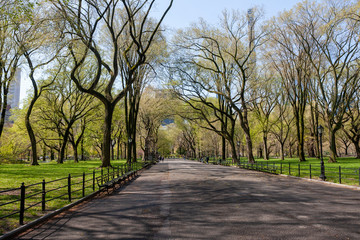 Fototapeta na wymiar The Mall-Central Park, Manhattan, New York City in Spring