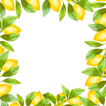 Watercolor square frame of lemons and leaves. Ideal for greeting cards, invitations,