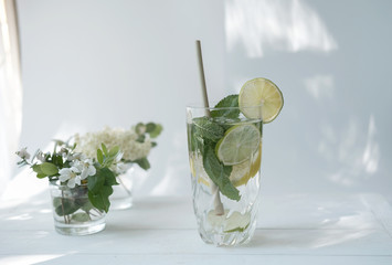 iced cold mojito glass. lime, lemon, mint leaves in a high glass. trendy direct sun light. summer non-alcoholic cocktail.