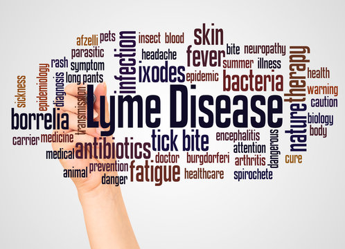 Lyme Disease Word Cloud And Hand With Marker Concept