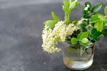 white summer flowers in a glass vase. wild ash or rowanberry flowers and cowberry branches. poster or calendar page. summer time blooming