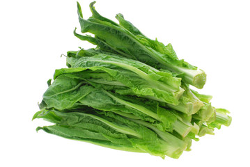 close up on fresh lettuce isolated on white background