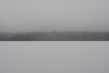 Gray winter landscape. Clean nature