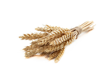 Bunch of wheat ears isolated on white background