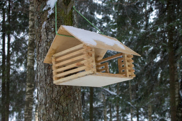 Bird house in the forest
