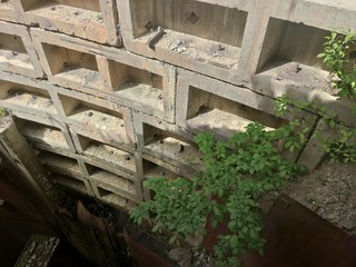 Old Soviet bunker, bomb shelter. Concrete walls 13 floors underground. Around green plants and trees.