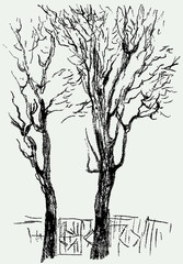 Sketches of trees silhouettes in urban winter park