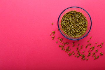 Glass jar with green cereal mung bean on a pink background.