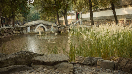 Fototapeta na wymiar An alley in the imperial garden, a small stone bridge over a pond with blooming grass.