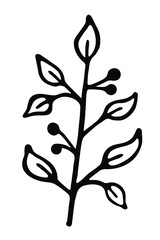 Single branch with leaves in ink Isolated on white background. Hand drawn vector decorative element in doodle style for wedding invitation and decoration, postcard, flyer, banner or website
