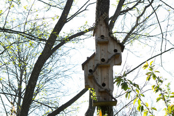 Apartment house unusual wooden bird house on a tree trunk in the park