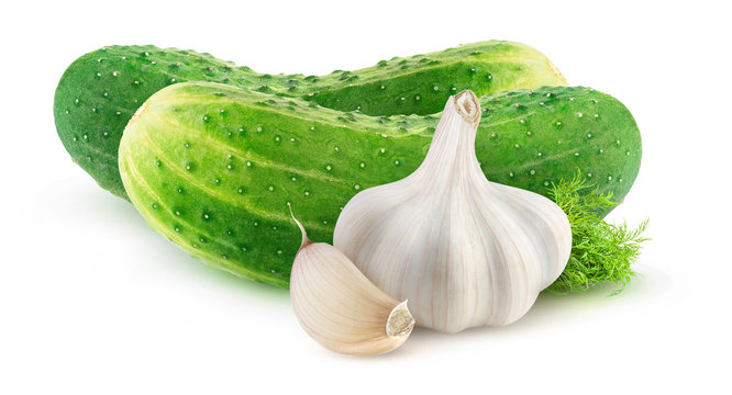Isolated pickled cucumbers. Two gherkins, head of garlic and dill isolated on white background
