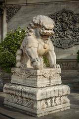 Obraz premium A Chinese white lion stands on the landing in front of the temple entrance.