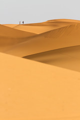 sahara desert morocco