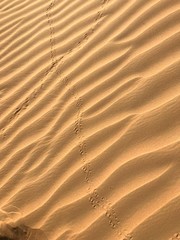 Footprints in Dubai sand