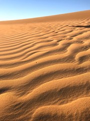 Ripples in the sand dunes of Dubai