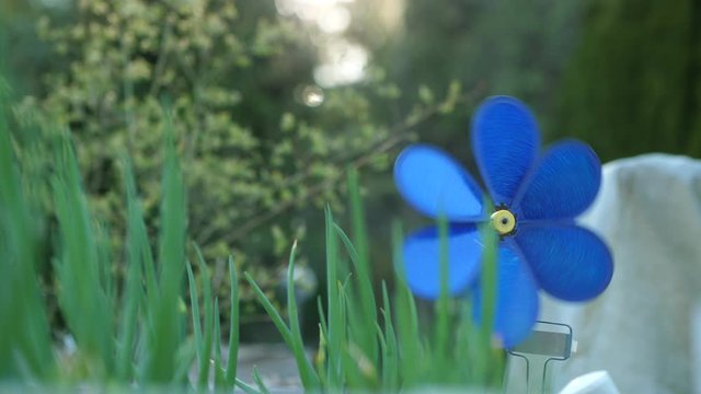 Blue pinwheel in the backyard garden spinning with the wind in the evening. Spinner toy background in slow motion.