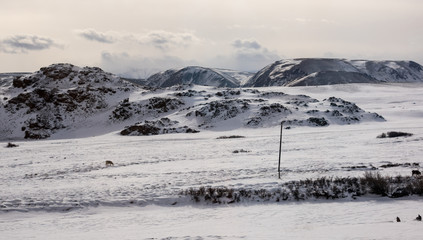 Fototapeta premium View of Altay mountains