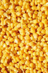 Yellow pattern from the grain of corn. Background with space for text in the product and food concept