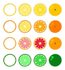 Orange tangerine grapefruit lemon lime on a white background. Vector illustration of summer fruits and citrus. Citrus icons are silhouettes of pictograms. Tropical fruits in parts and slices
