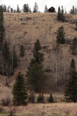 Cabin on the ridgeline