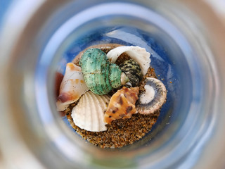 Sea in a bottle. Close-up photograph of sand and shells through the neck of a bottle. Abstract...
